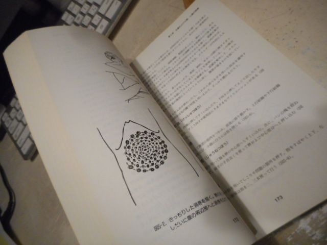★「気内臓療法」謝明徳 原著　帯津良一 監修　　　鎌崎倬寿 翻訳 ☆「気内臓療法」謝明徳 原著 帯津良一 監修 鎌崎倬寿 翻訳 気