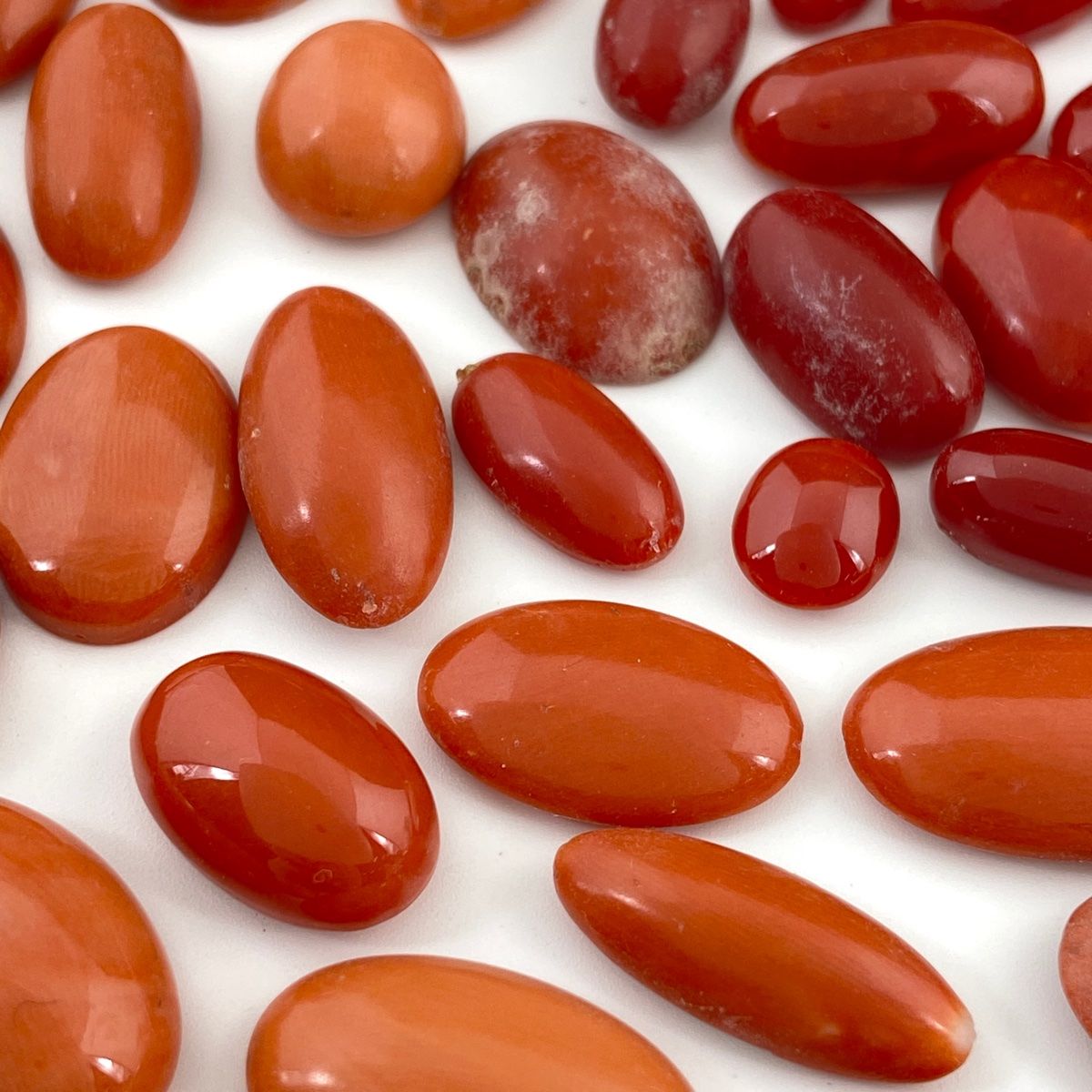 天然珊瑚ルース