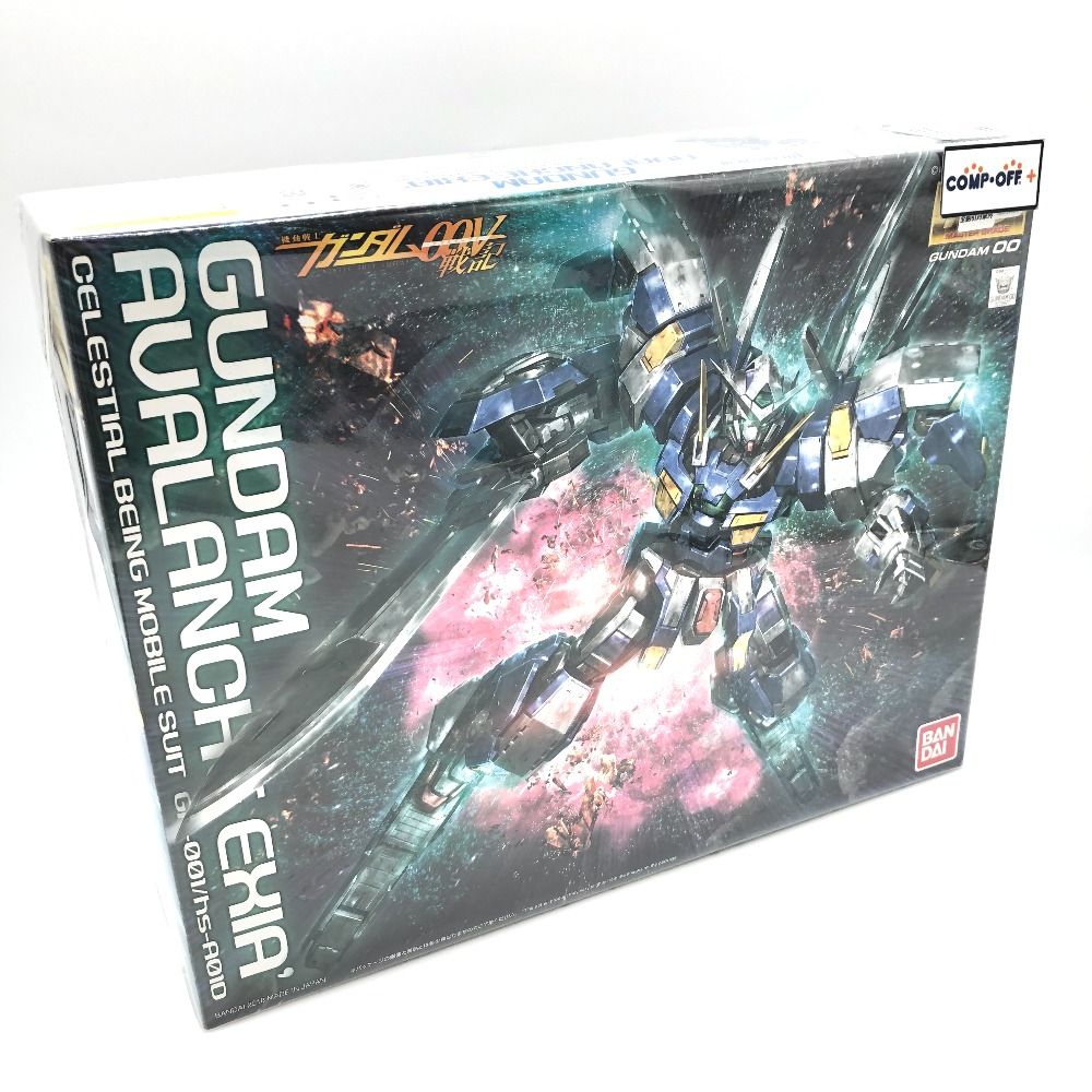 1/100 MG GN-001/hs-A01D ガンダムアヴァランチエクシアダッシュ