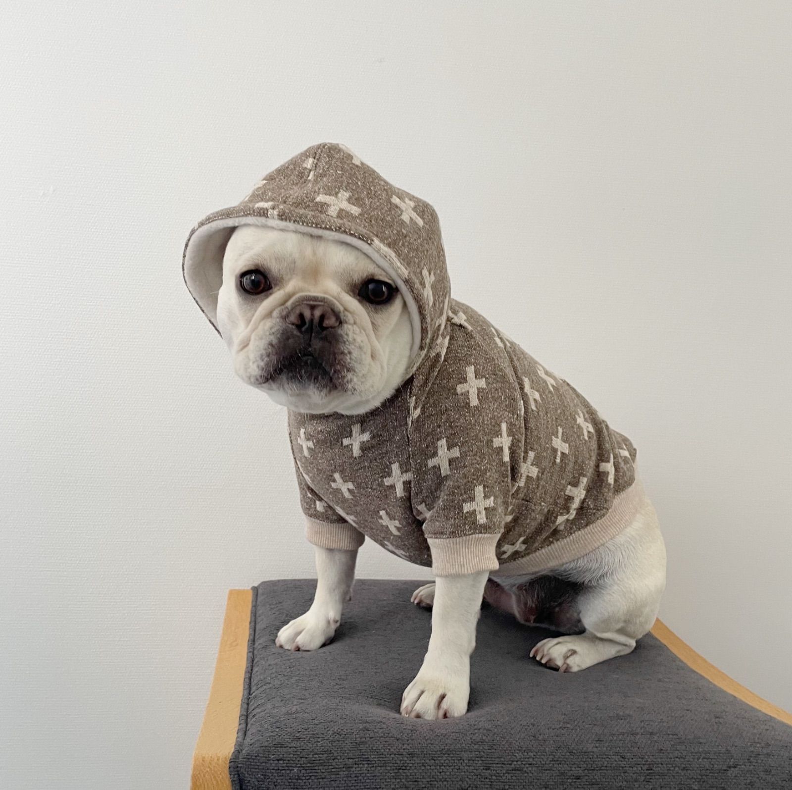 ●犬服●ハンドメイド 胴54 NO.573 フレブル パグ ○犬服○ハンドメイド 胴54 NO.573 フレブル パグ