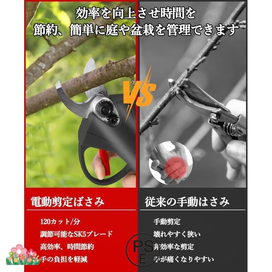 大容量バッテリー2個付き