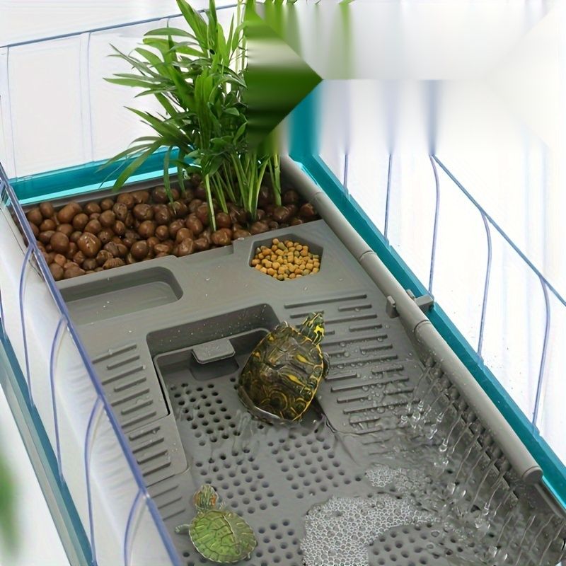 カメの巣