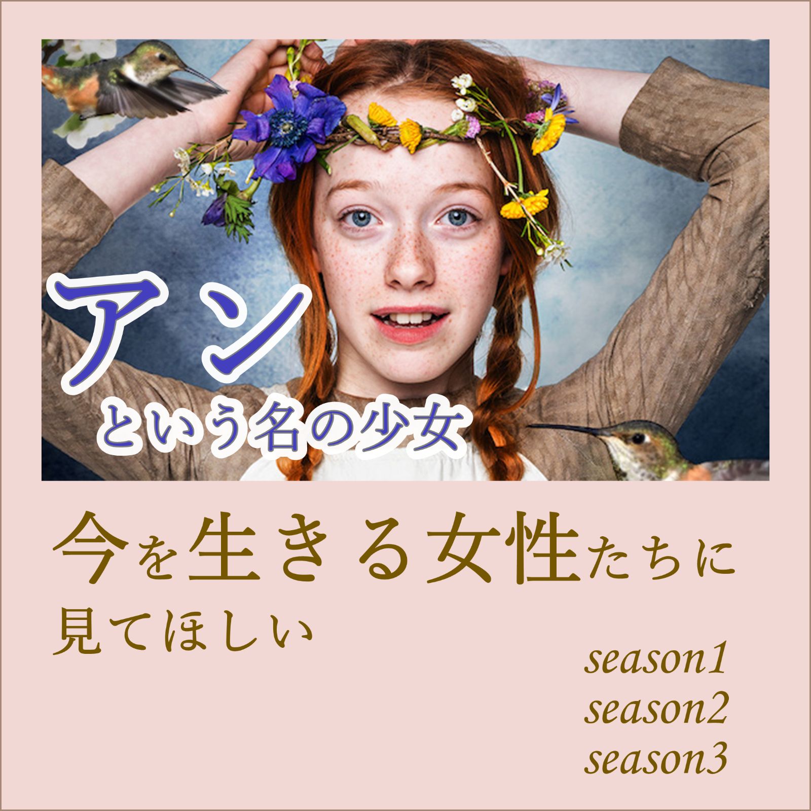 DVD/ブルーレイ特別価格【送料無料】 アンという名の少女 シーズン1、2、3セット