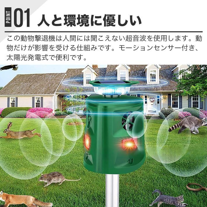 キツネ テン