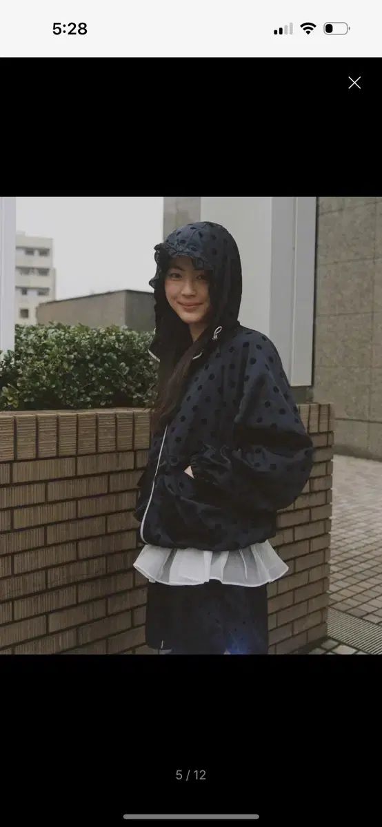 ドット