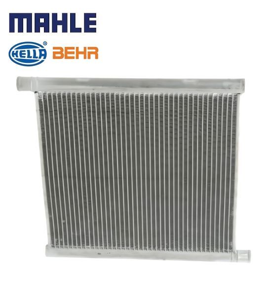 な ZX フューリー / ZX Fury Shoes （ライトパープル） -Reebok