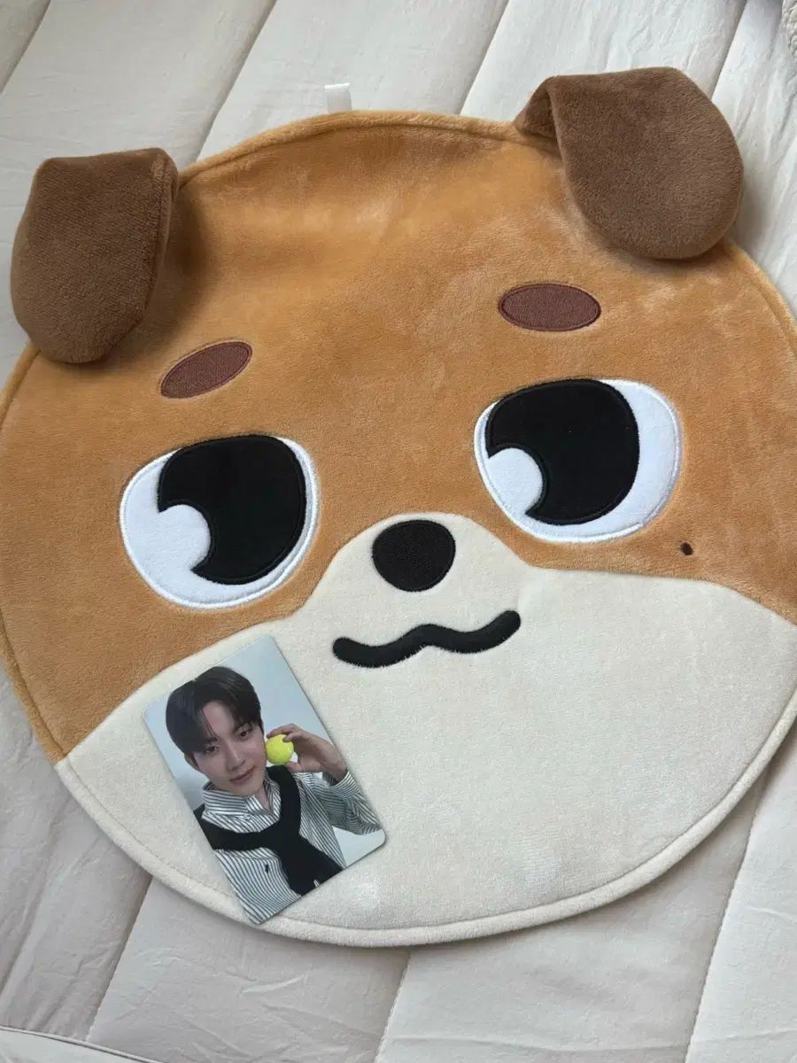 FAN ゲーム・おもちゃ・グッズ DAY6(デイシックス) ケー うちわ COVER