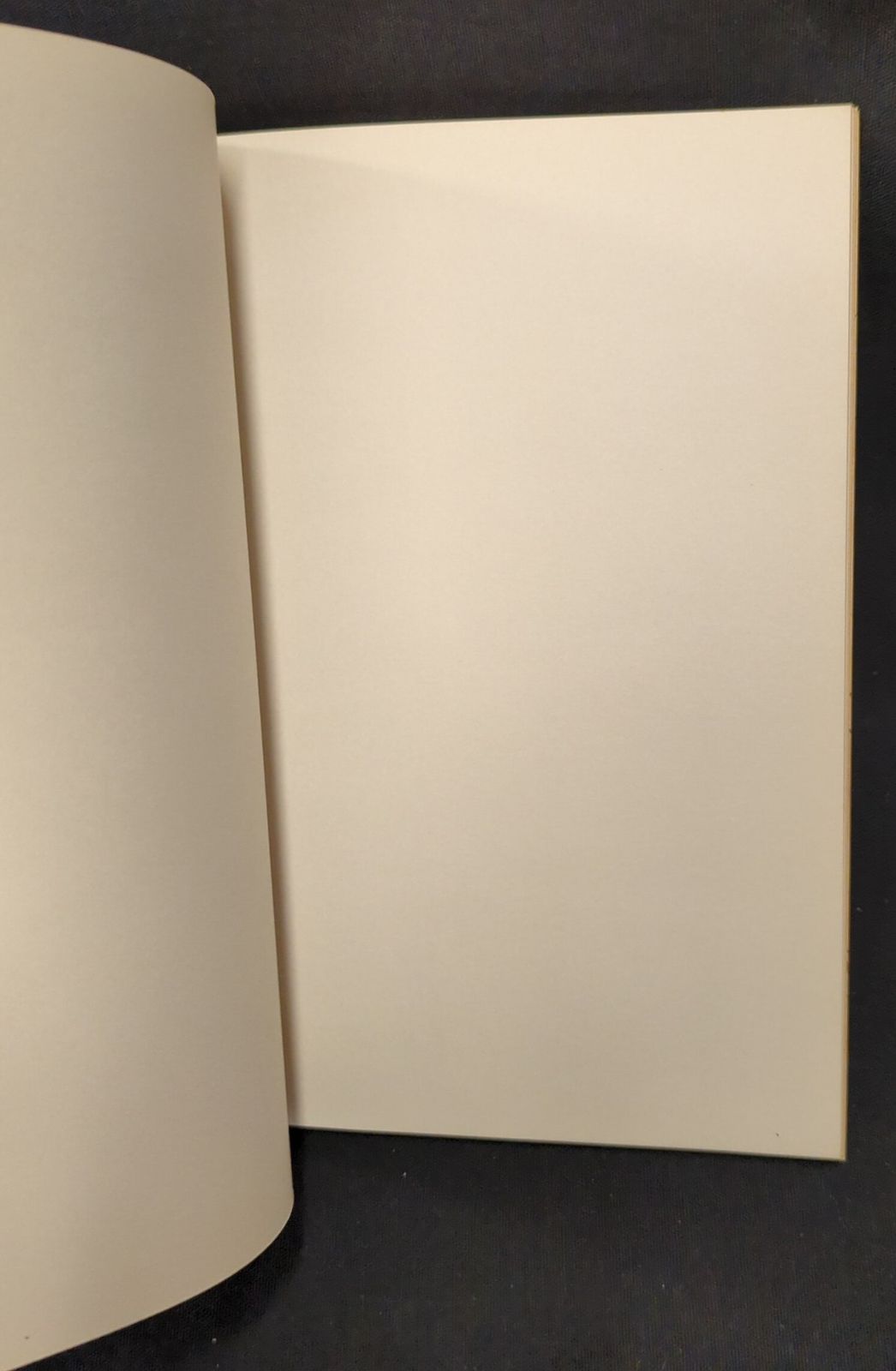 セイカノート セイカのじゆうちょう A5 ガメラ対深海怪獣ジグラ(ガメラ