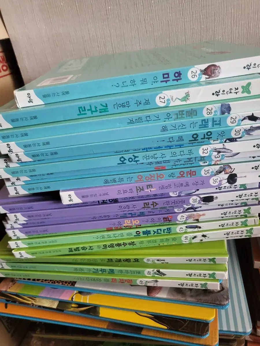 アラム 自然と 叢 81 クォン セイフェン