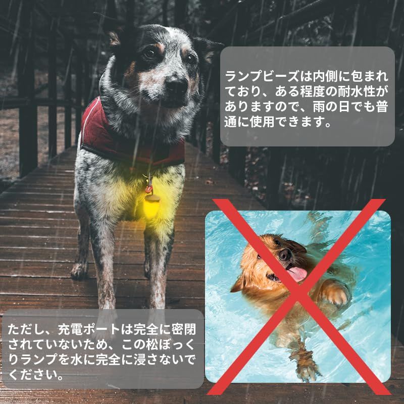 犬の安全のために