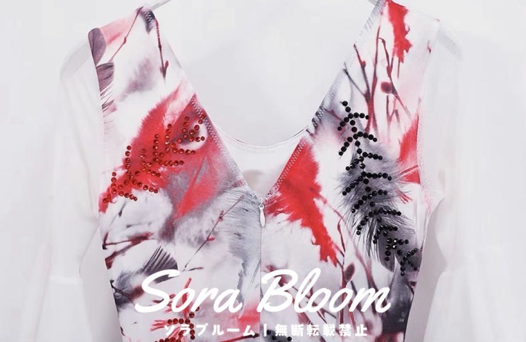 新品未使用ストーン付きスタンダードドレス?練習から発表会