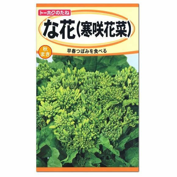 メルカリshops 食用花ナバナ寒咲花菜の種 固定種 春を呼ぶ野菜 景観用にも向くおいしい菜の花