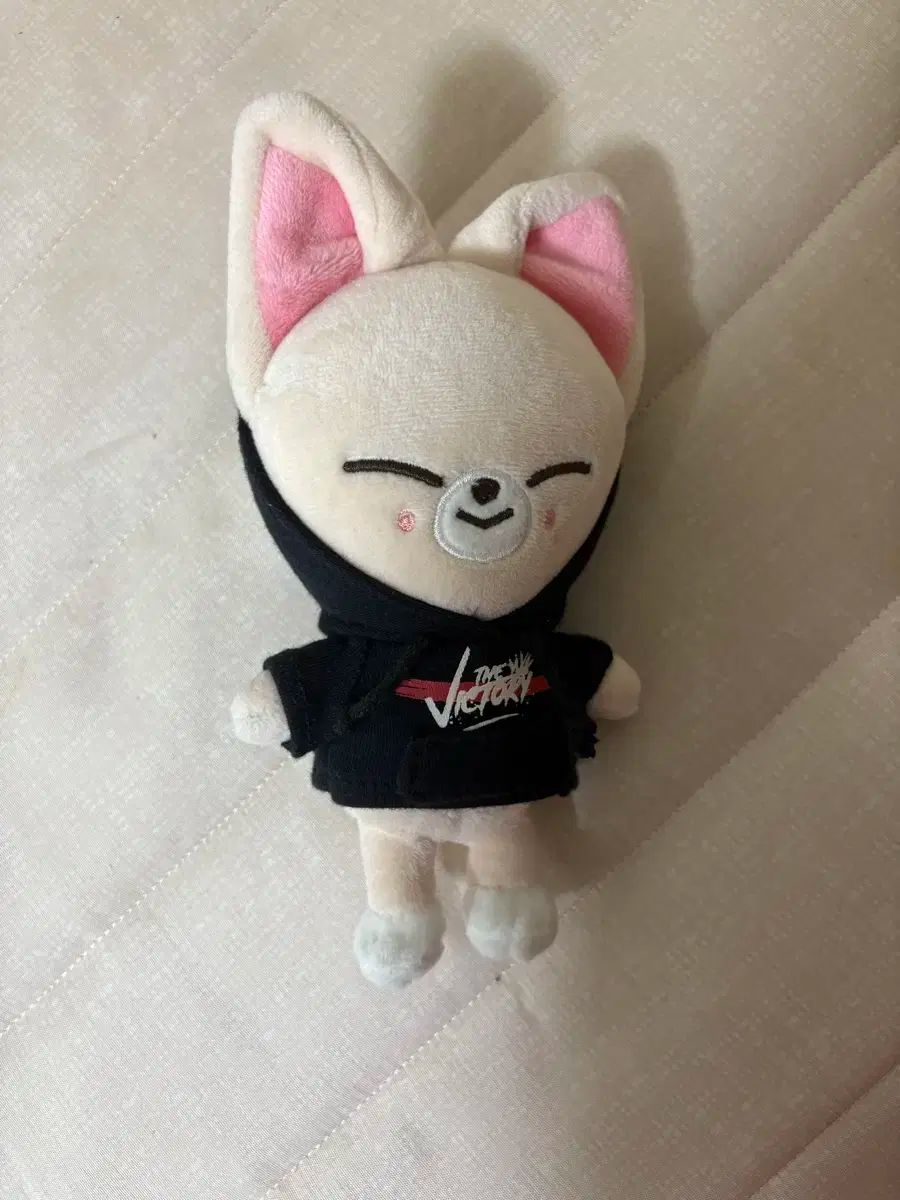 ストレイキッズ　アイエン　ジョンイン　ぬいぐるみ Amazon.co.jp: ストレイキッズ (Stray Kids) ぬいぐるみ 人形