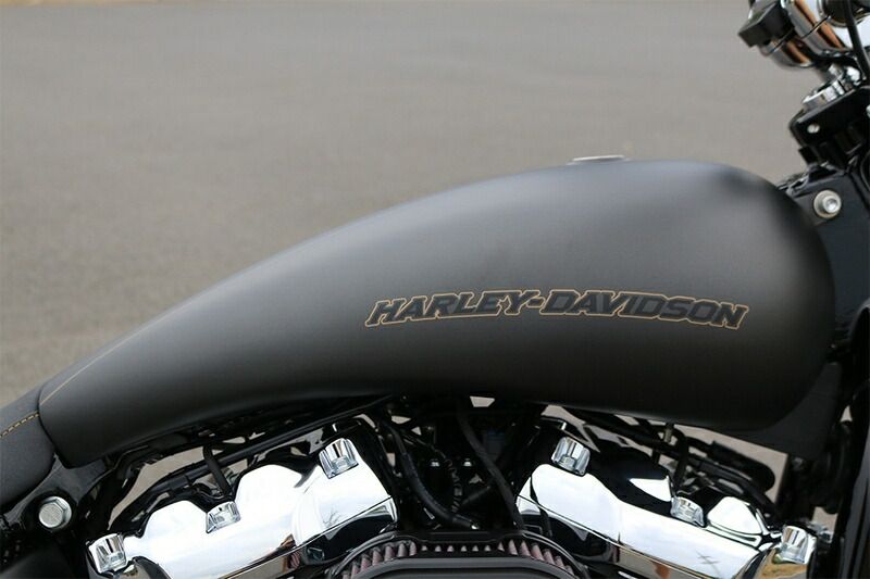 ストレッチガスタンク 2018年以降ソフテイル DECORATOM_COM_BR