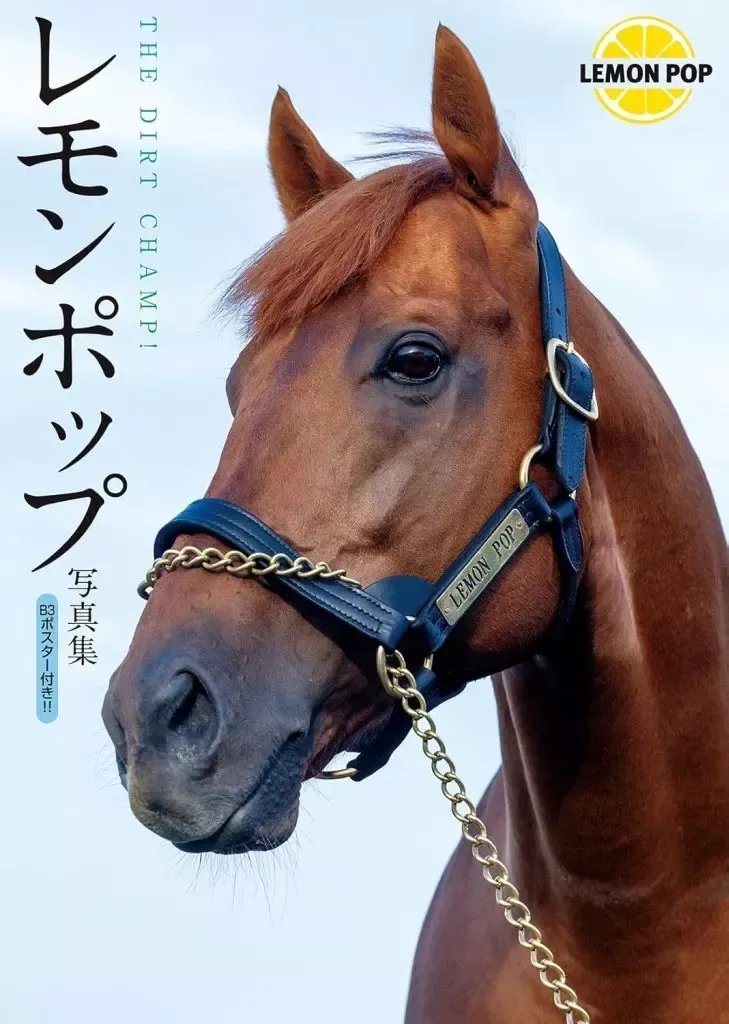 2025年最新】ゴドルフィンの人気アイテム - メルカリ