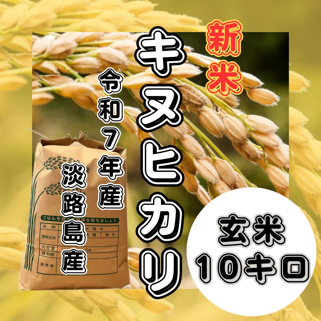 食品 令和7年 埼玉県産 キヌヒカリ 玄米 20キロ 離島以外送料込み