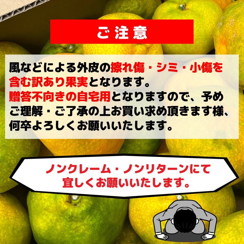 愛媛みかん（1～14日以内発送）特に訳あり 愛媛みかん3kg+保証分200g 愛媛の農家・青果市場から直送！！ ※北海道・沖縄離島 発送不可