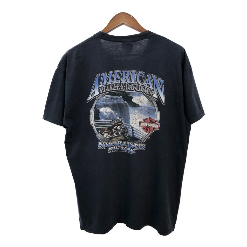 BPQM バイク ラグ タペストリー 古着 ハーレー ダビッドソン ロゴ 2026