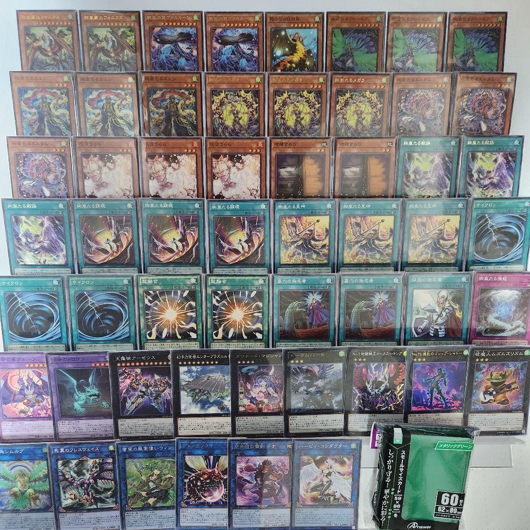 大会構築 絢嵐デッキ トーテムバード ローカストキング フォニクス 大会構築 絢嵐デッキ トーテムバード ローカストキング