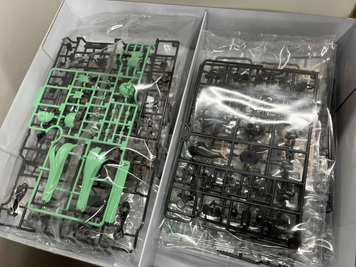 フレｰムアｰムズ･ガｰル