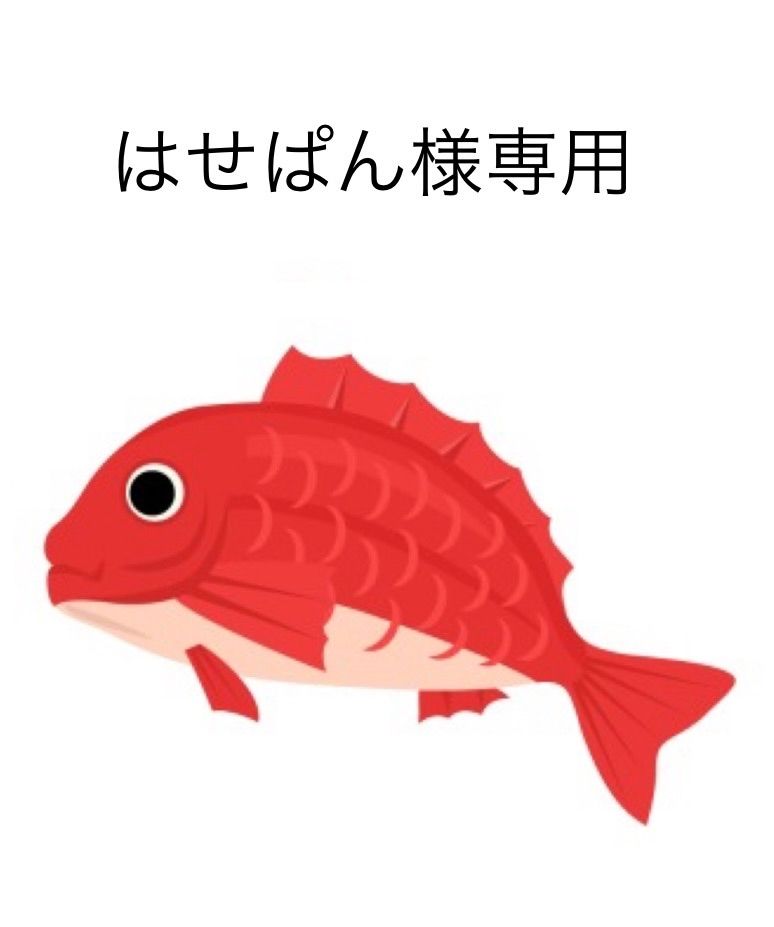 パン様 専用出品です パン様 専用出品です