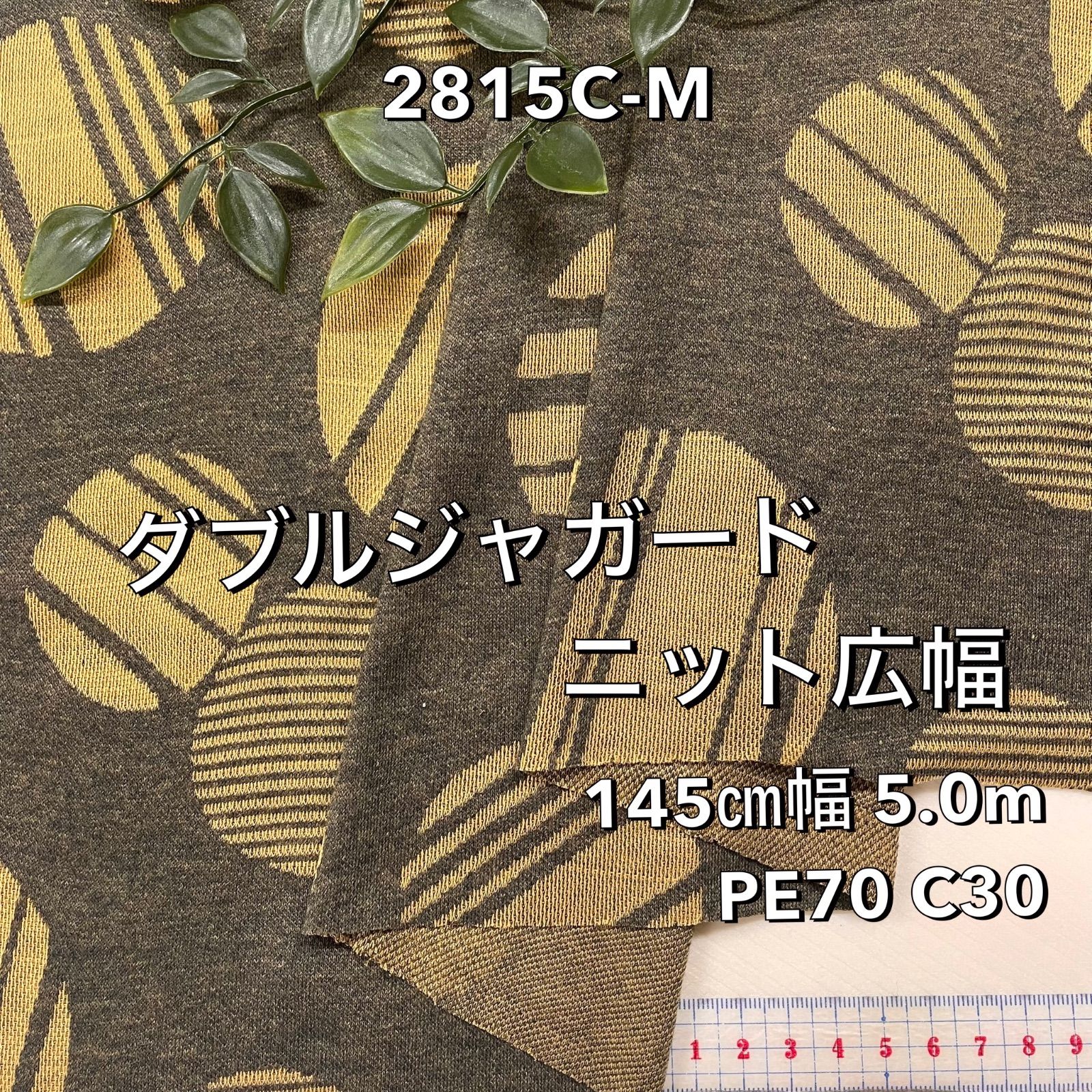 トライ・ザ・サーキット ロードレース完全マニュアル / 市川 康 / ナツメ社