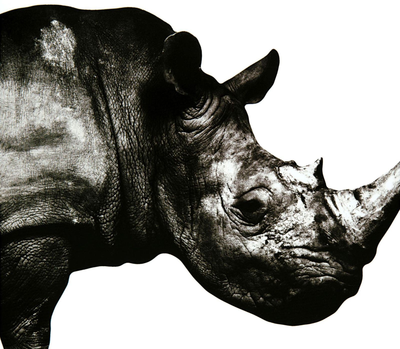 Mr.Children  CD 13枚セット Mr Children ミスチル CD シングル／アルバム 13枚 まとめ売り