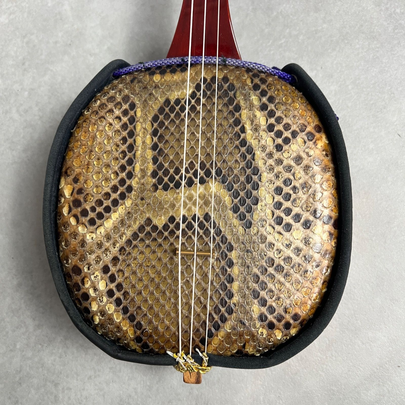 フォローで20％割クーポン配布中 棹の美しい色味 本蛇皮 沖縄三線 クロコ調ハードケース 多数 へび パイソン 本革 25M4080YO05852