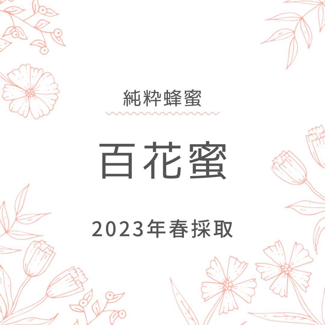 はちみつ 百花蜜 600g×4瓶 《2400g》2.4Kg 国産 純粋 - 森のハチミツ