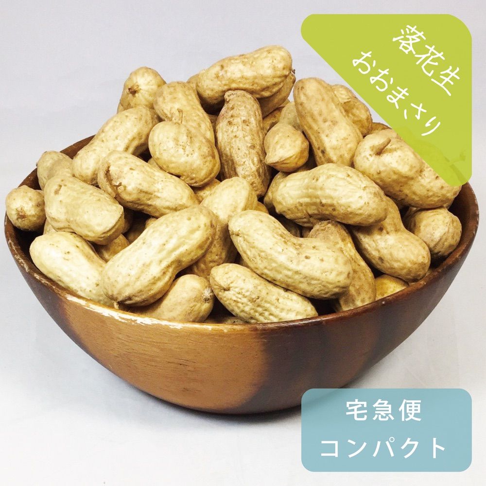 ゆで落花生用 おおまさり 約1kg 栽培期間中農薬不使用　塩茹で生ピーナッツ-0