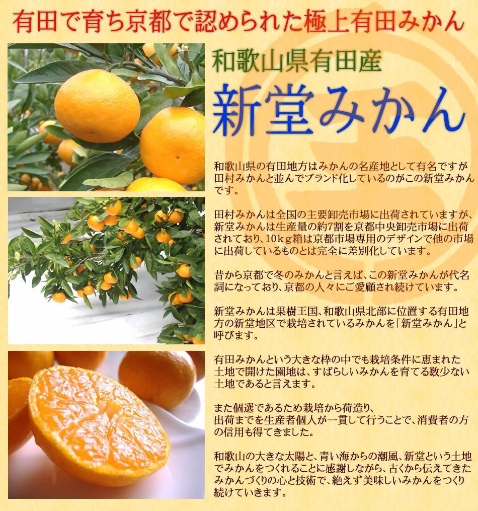 有田蜜柑 みかん