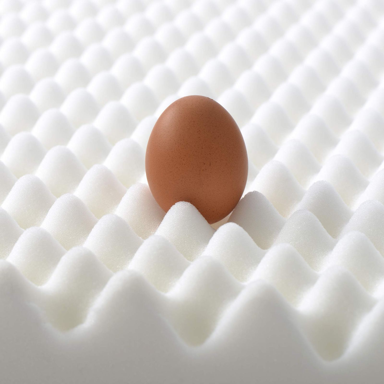 新着商品 高反発マットレス ベッドマットレス シングル 97cm×195cm 厚さ10cm ブラウン シングル