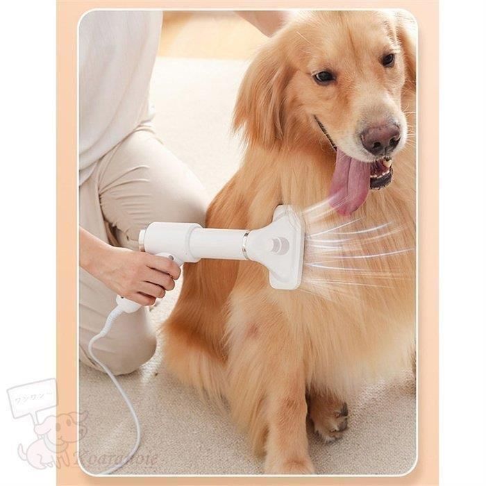 犬ドライヤー風量調節乾かすドライおすすめ快適チワワ小型犬ポメラニアンペット乾燥シャンプー後素早く乾かすペットドライドライヤー