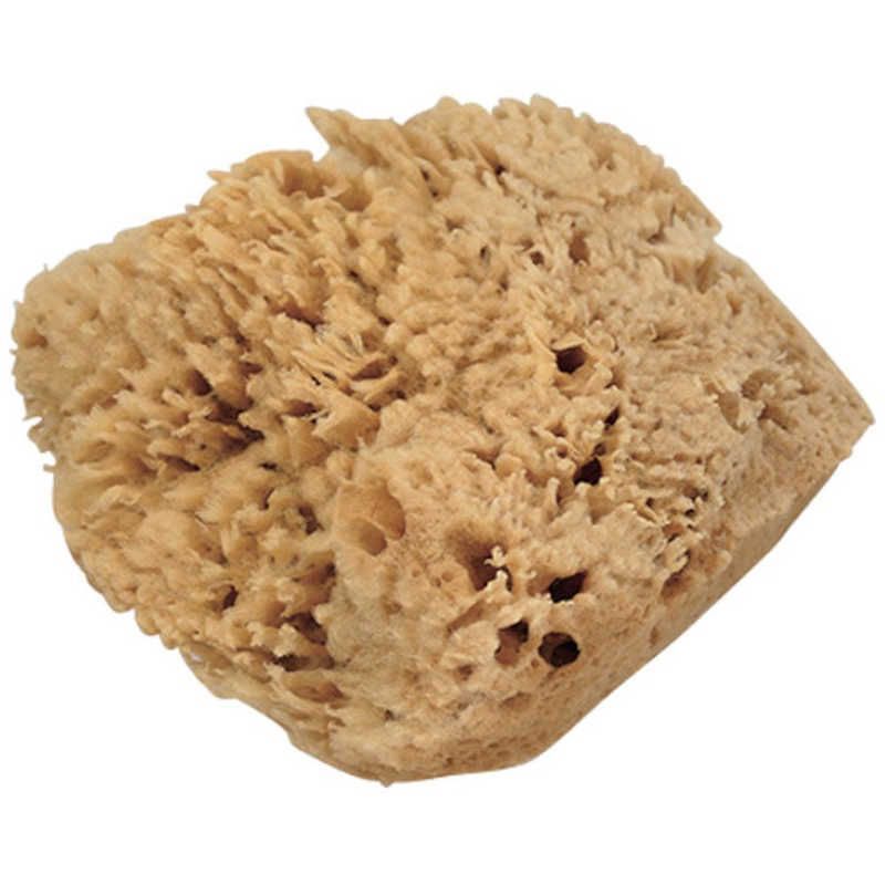 大塚刷毛製造 天然海綿 ハニコム種 Lサイズ 1612280004