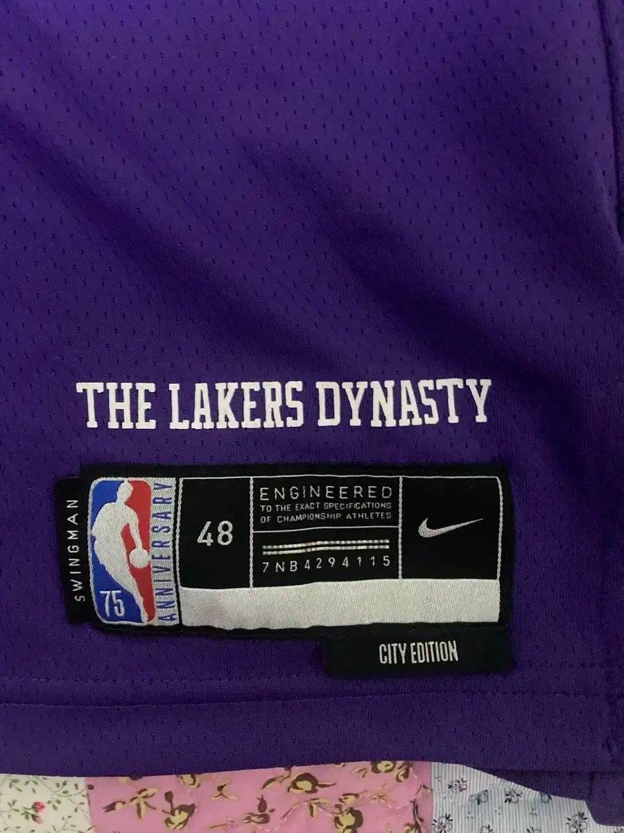 NIKE(ナイキ) LA Lakers レブロン ジェームス Swingman（スウィング