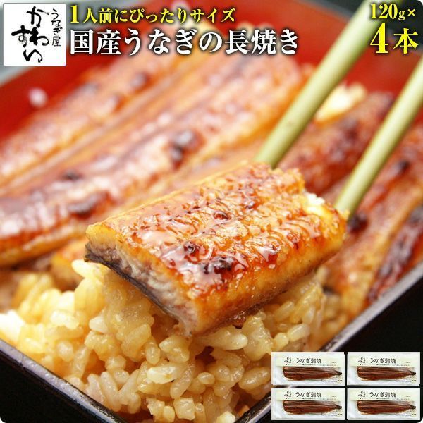 1人前にぴったりサイズ 国産 うなぎ蒲焼き 120g×4本 うなぎ屋かわすい ウナギ 鰻 蒲焼き 産 夏の土用丑 土用の丑の日 冷凍食品 うなぎ 誕生日 お祝い 快気祝い プレゼント ギフト うなぎ 国産 食べ物 グルメ 4尾 山椒なし