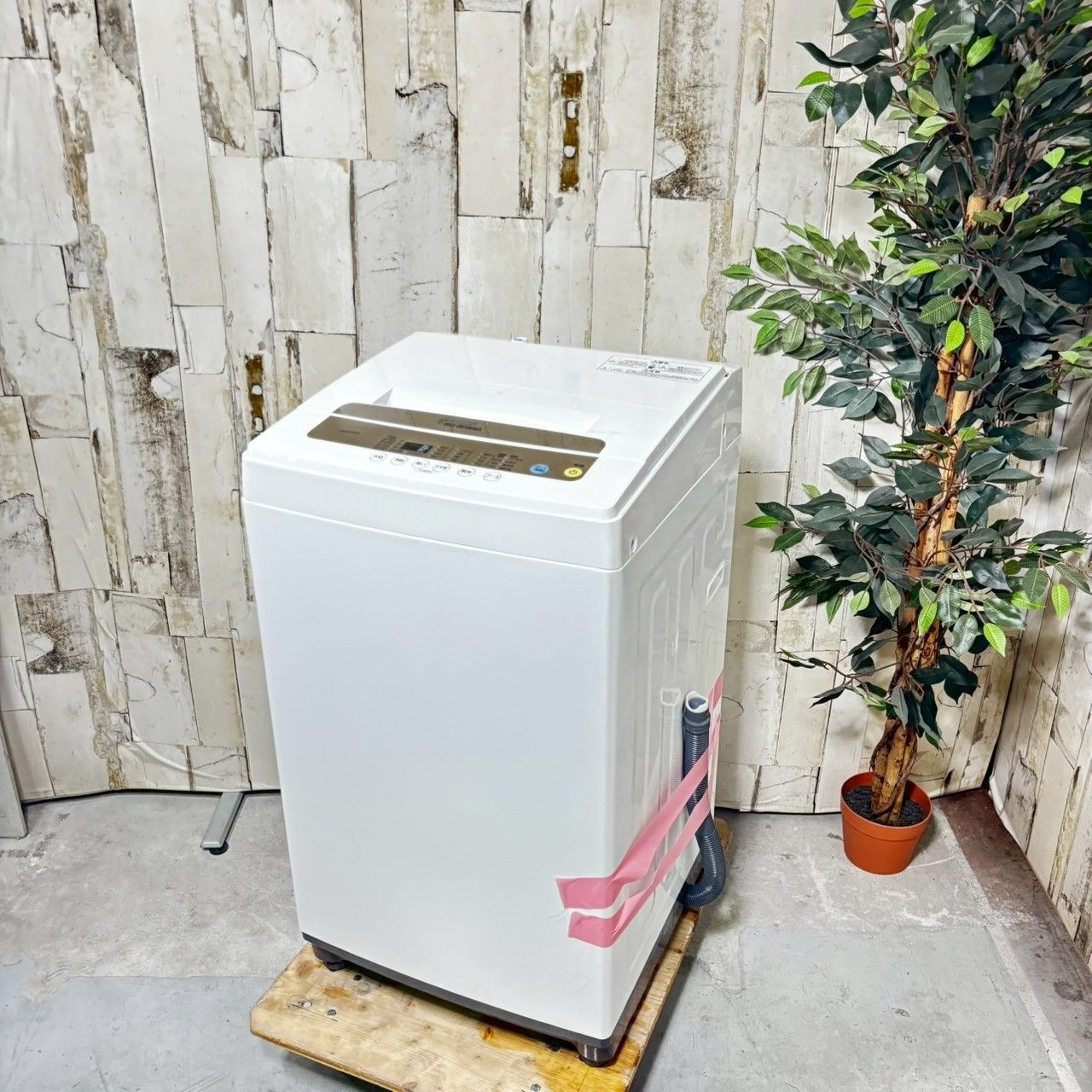 2021年製】IRIS OHYAMA アイリスオーヤマ IAW-T502EN 洗濯機 5.0kg 