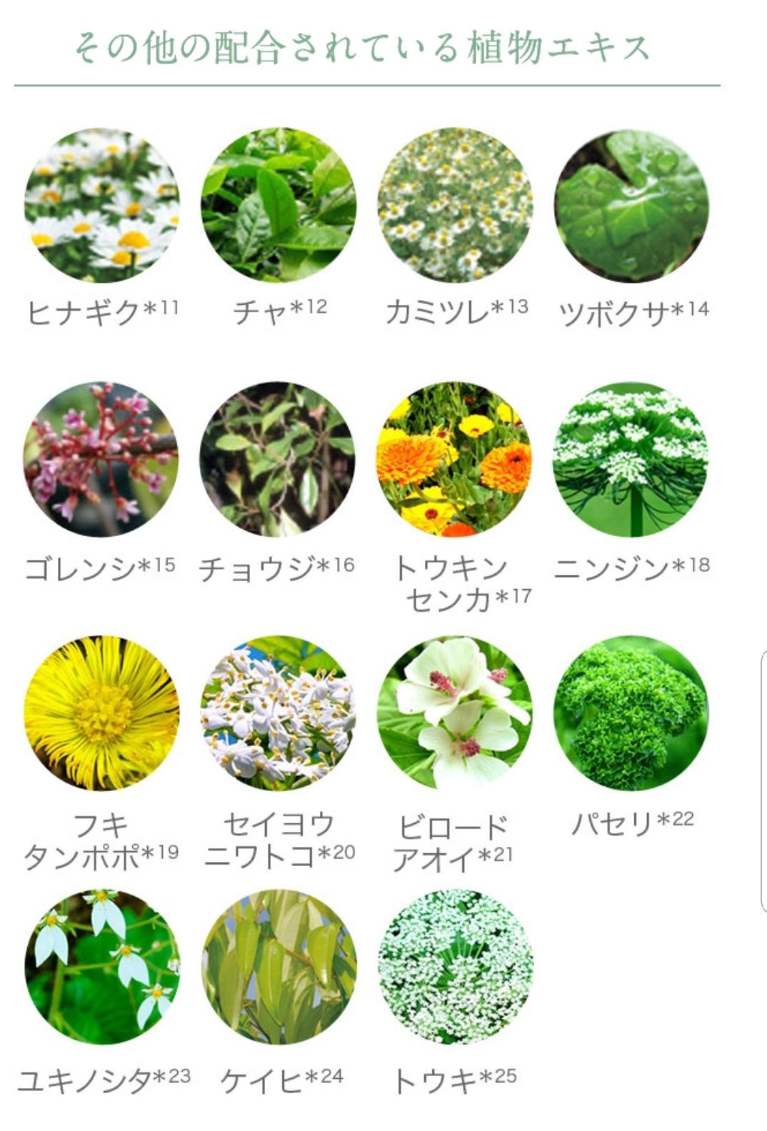 本物 ノエビア99プラスシリーズ☆おまけ付き☆