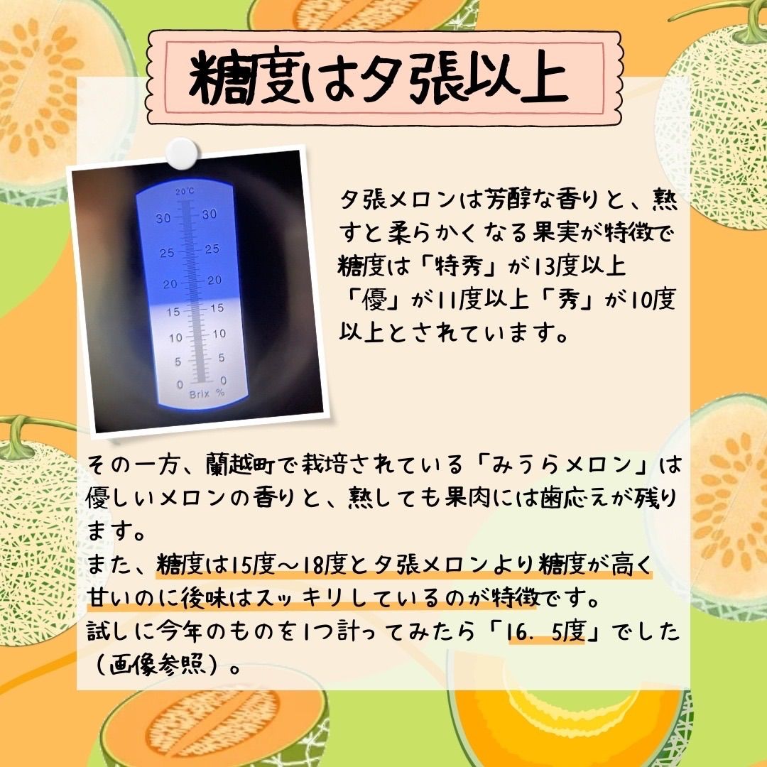【終了間近！】赤肉メロン 8kg 4〜5玉入　ティアラ　秀品　北海道　蘭越町