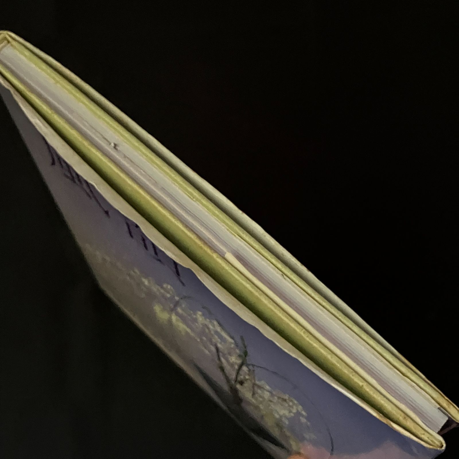 風韻 : 池坊専永のいけばな : 生花新風体 池坊専永 著 143p 主婦の友社