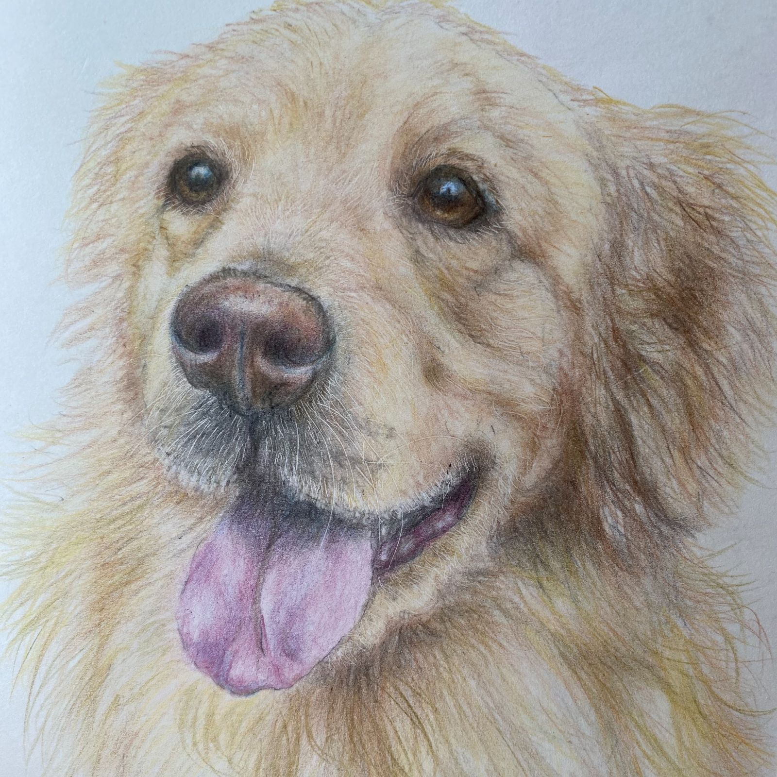 色鉛筆画 絵画 動物 犬 ペット - 絵画