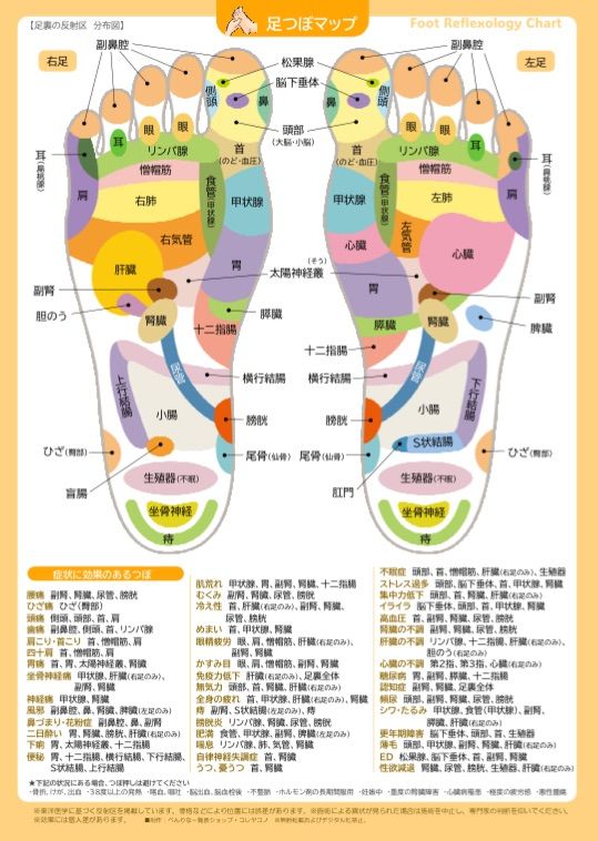 足つぼマッサージ早見表★防水ラミネート　手のひらのつぼ、顏のツボ／症状別一覧表