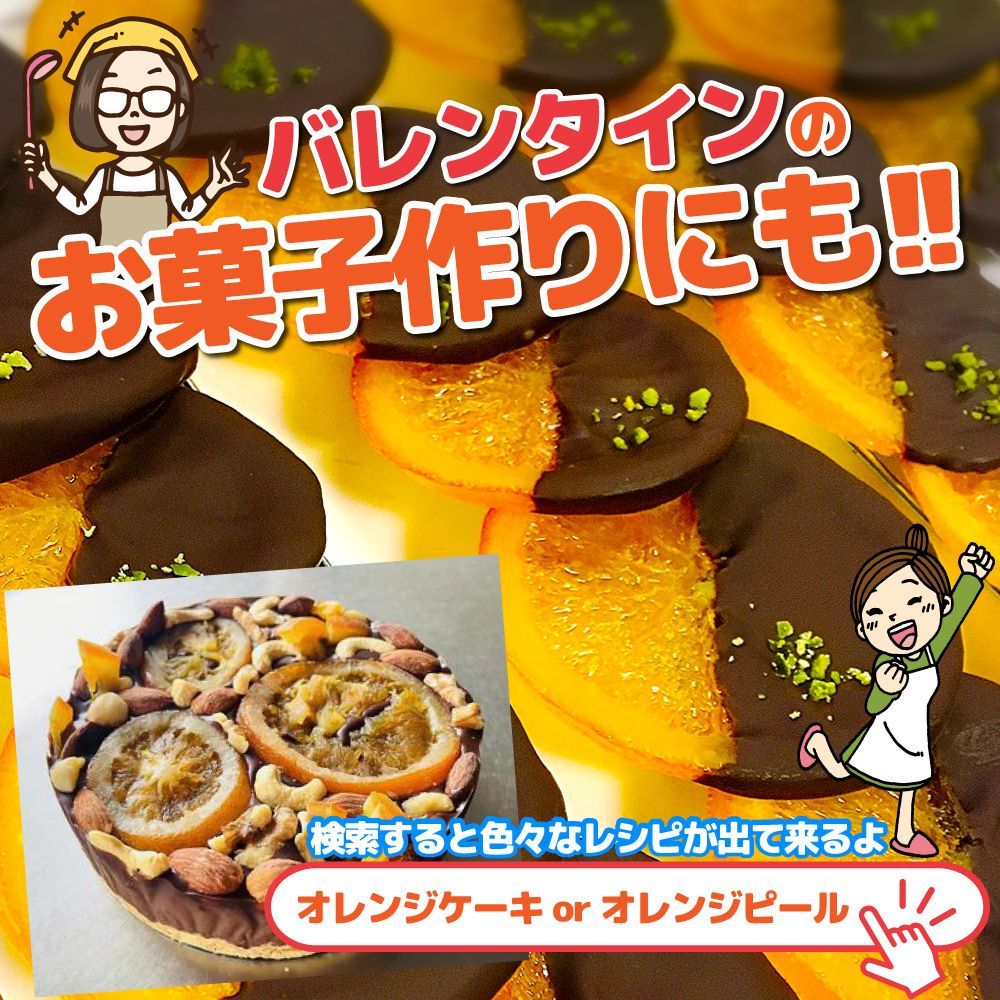 のサムネイル