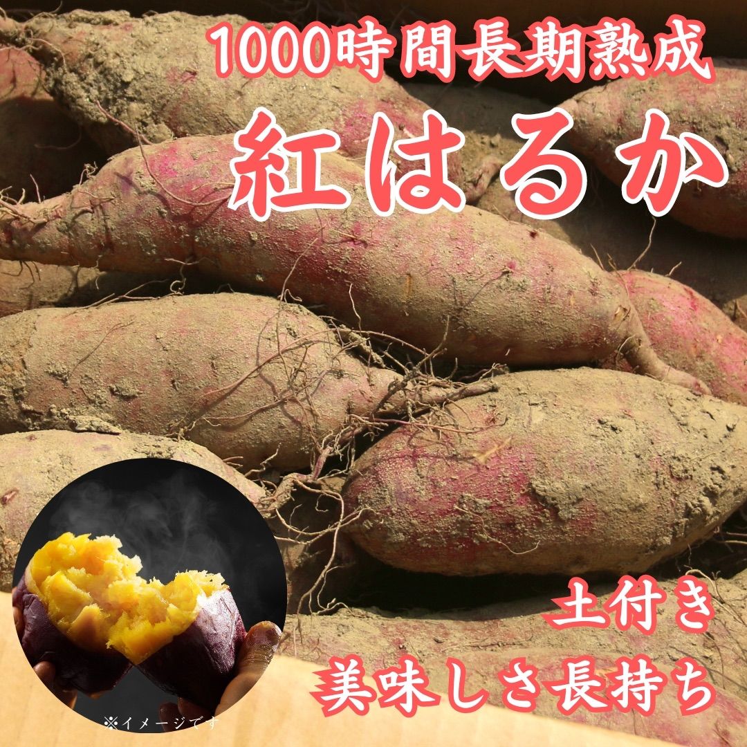 【減農薬】熟成紅はるか さつまいも 土付き 10kg 特大サイズ