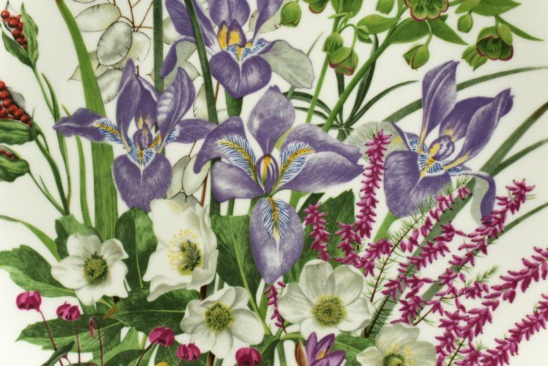 フランクリンポーセリン