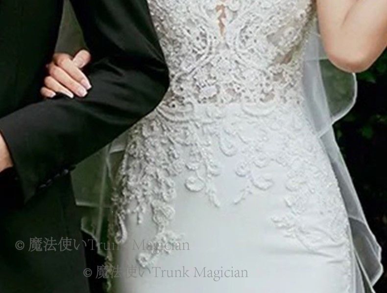 レース CCVZ1026P275