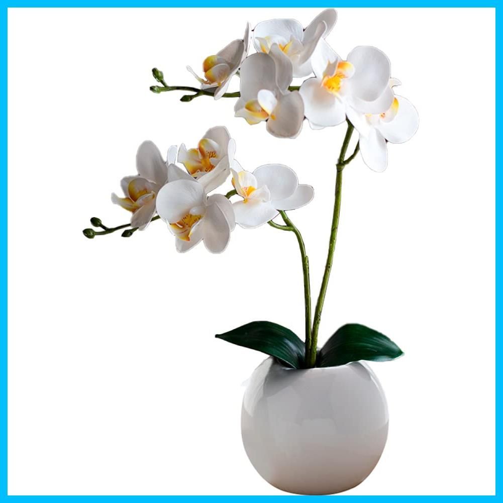 新着商品 敬老の日 フェイク 誕生日 観葉植物 人工 インテリア 鉢植え ホワイト 丸鉢 造花 胡蝶蘭 ミニ Kugusa