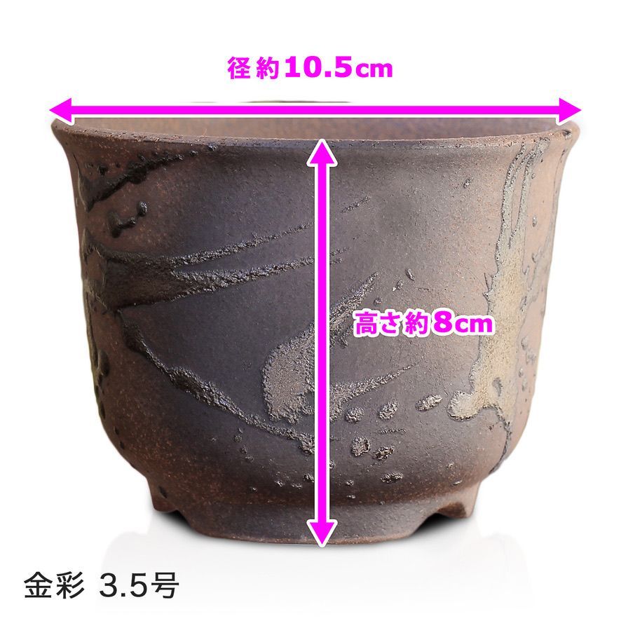 盆栽鉢 浅型 金吹 3.5号 四日市萬古焼 丸 円形 深め 陶器 小品