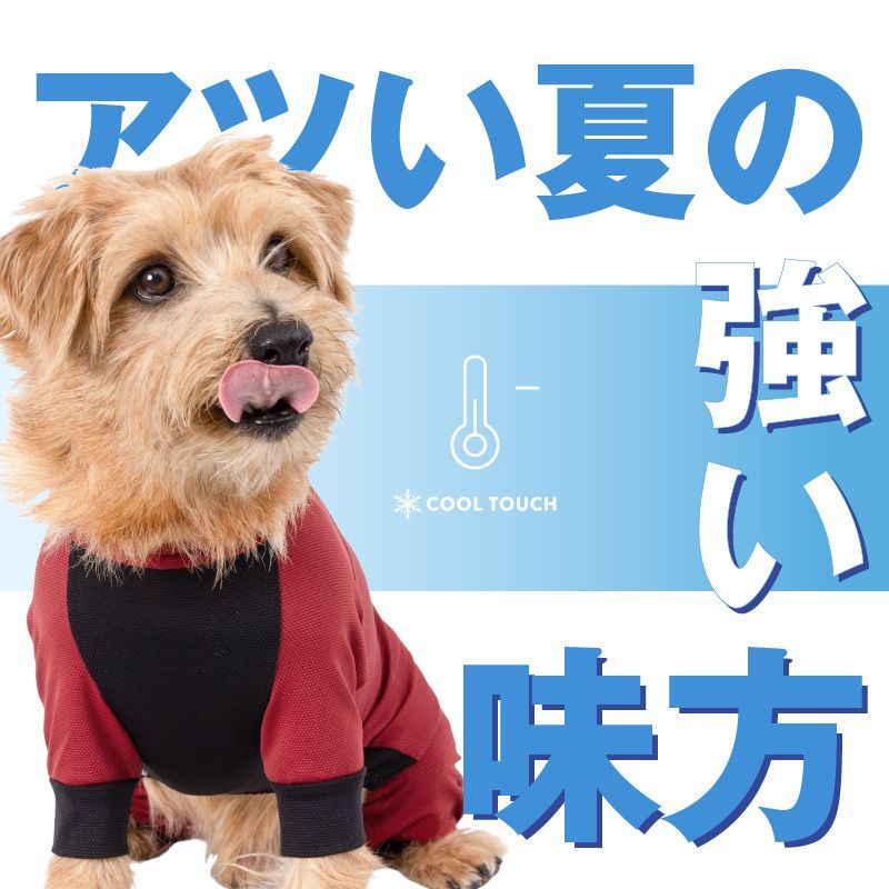 【新品】『D2Sサイズ』伸びて 着せやすい ドッグプレイ(R) 接触冷感 ストレッチ ハニカム ラッシュガード ダックス 小型犬用