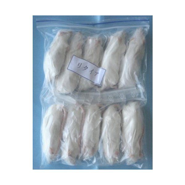 冷凍 リタイアマウス 100匹